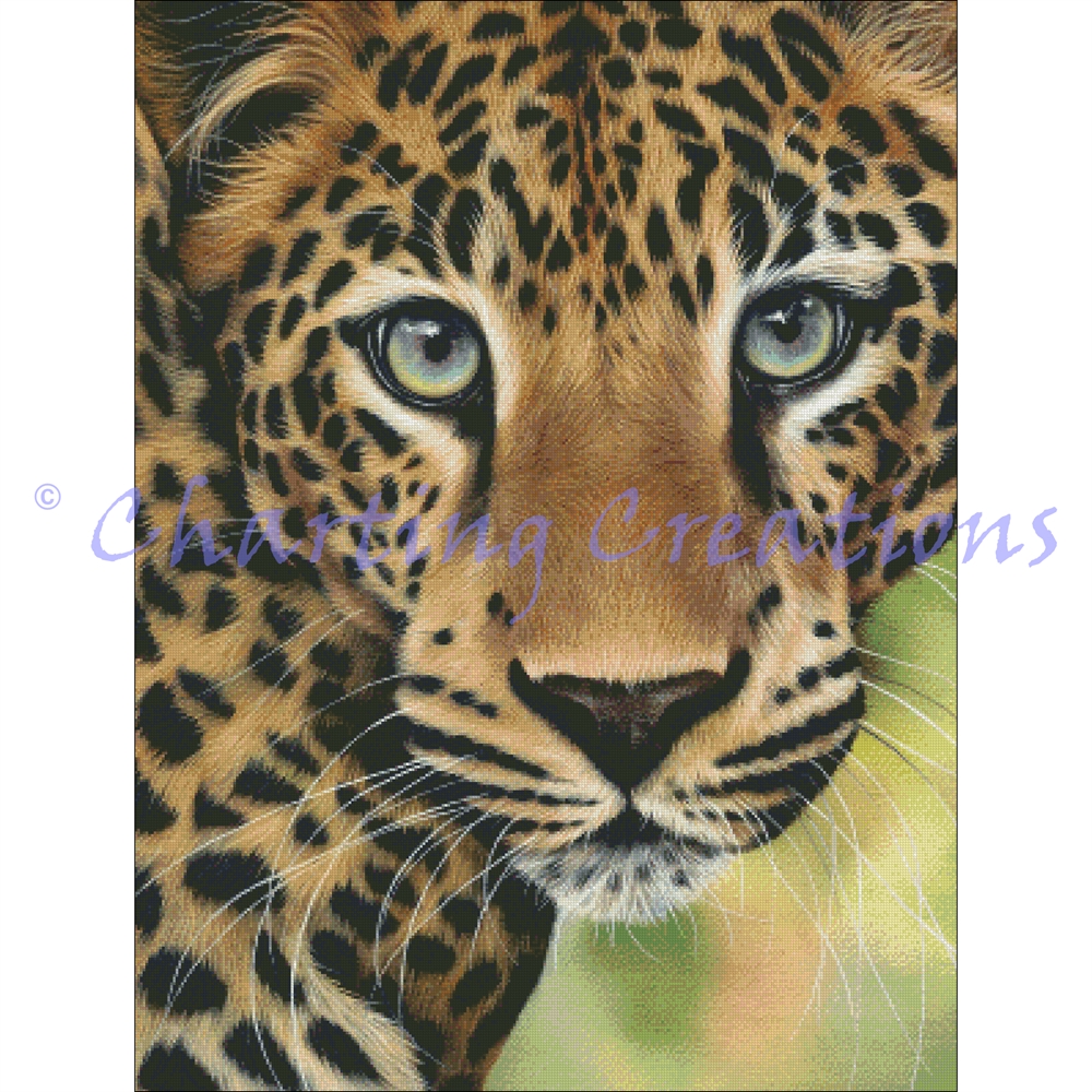 Leopard Close Up